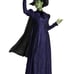 Disguise Womens Deluxe Wicked Elphaba Costume (XL) - New With Tags