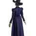 Disguise Womens Deluxe Wicked Elphaba Costume (XL) - New With Tags