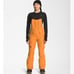 The North Face Dryvent Women's 3X Topaz Freedom Ski Snow Bib Pants New
