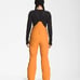 The North Face Dryvent Women's 3X Topaz Freedom Ski Snow Bib Pants New