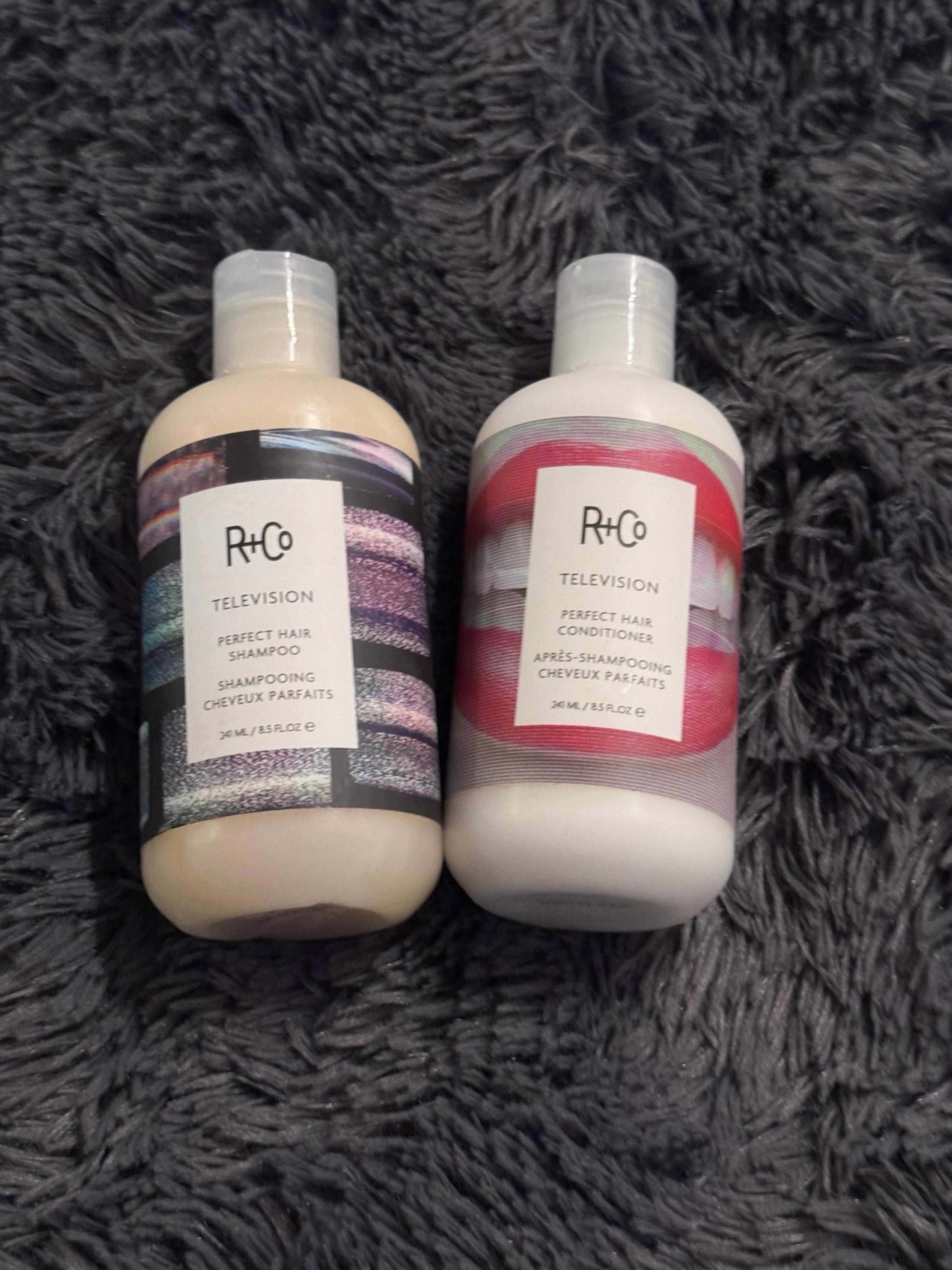 R+Co TELEVISION PERFECT HAIR SHAMPOO AND CONDITIONER