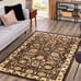 4' x 6' New Area Rug Brown H 37522 Home Decorative Art Soft Carpet Collectible