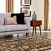 4' x 6' New Area Rug Brown H 37522 Home Decorative Art Soft Carpet Collectible