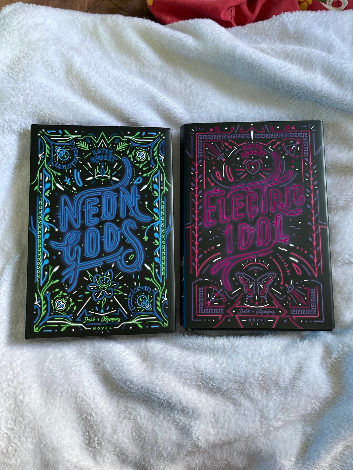 Bookish Box Neon Gods/Electric Idol