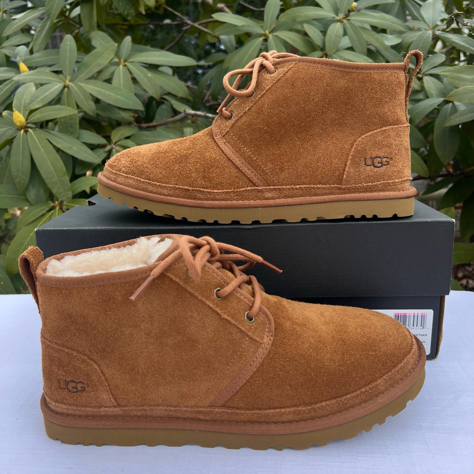 NWT Mens UGG Neumel Chukka Boot - Chestnut