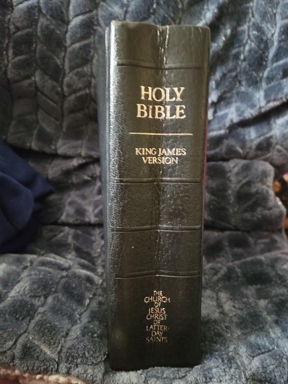 Bible