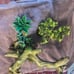 Bearded dragon/Reptile decor