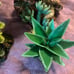 Bearded dragon/Reptile decor