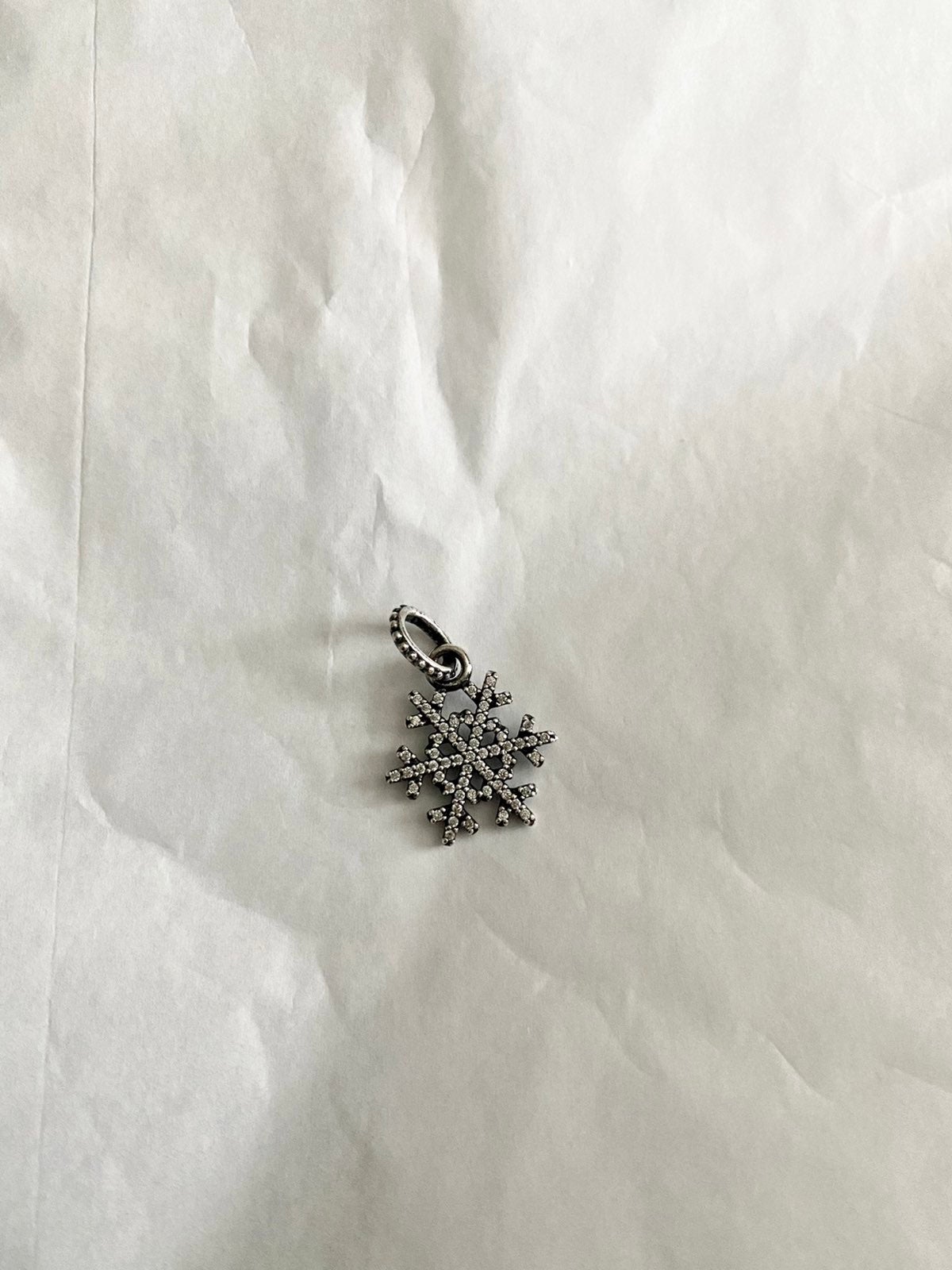 Pandora Necklace Charm