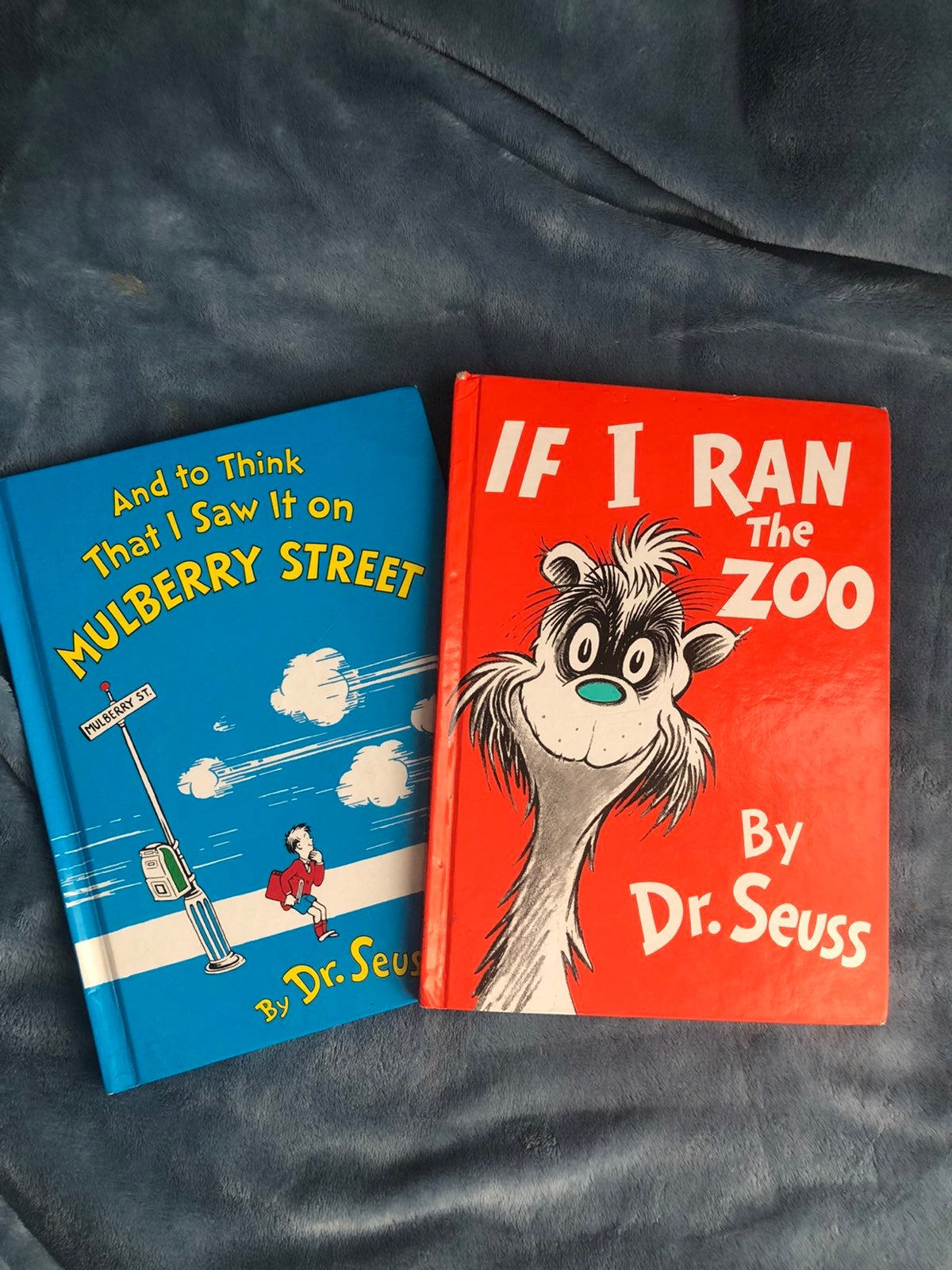 Dr. Seuss banned children books bundle
