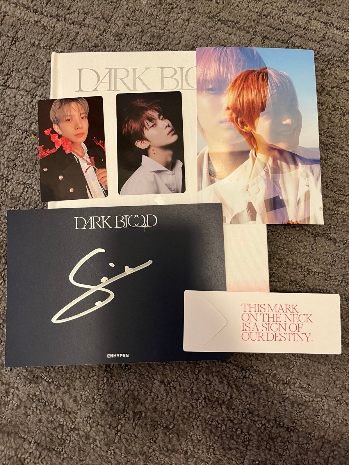 Enhypen Dark Blood (New Ver.) Signed Sunoo postcard