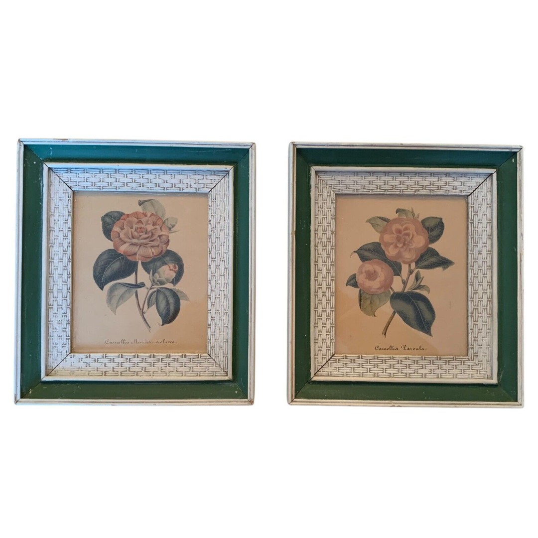 2 Vintage 1950s Framed Camellia Flower Lithographs 10.3 x 9.3 Pink+White+Green