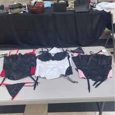 fredericks of hollywood bustier set