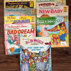 Berenstein Bears Book Lot