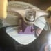 DGK x Bruce Lee Deck Jamie Foy Thunder Trucks Ricta Wheels Complete Skateboard