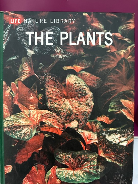 The World of Botanical Wonders w/ Life Nature Library: The Plants Vintage 1969