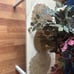 living room furniture