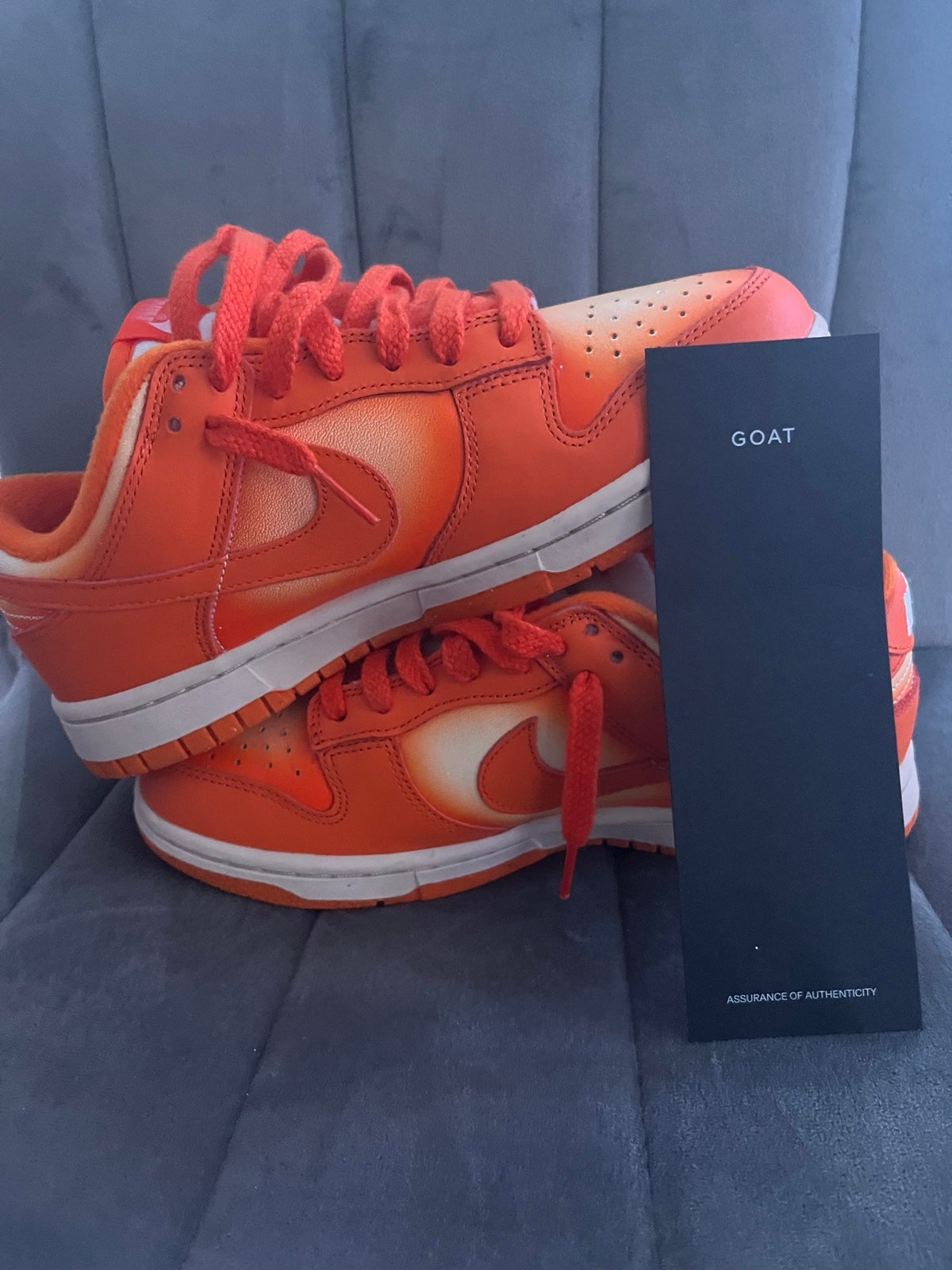 Nike Dunks Low