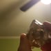 Crystal Needle Quartz