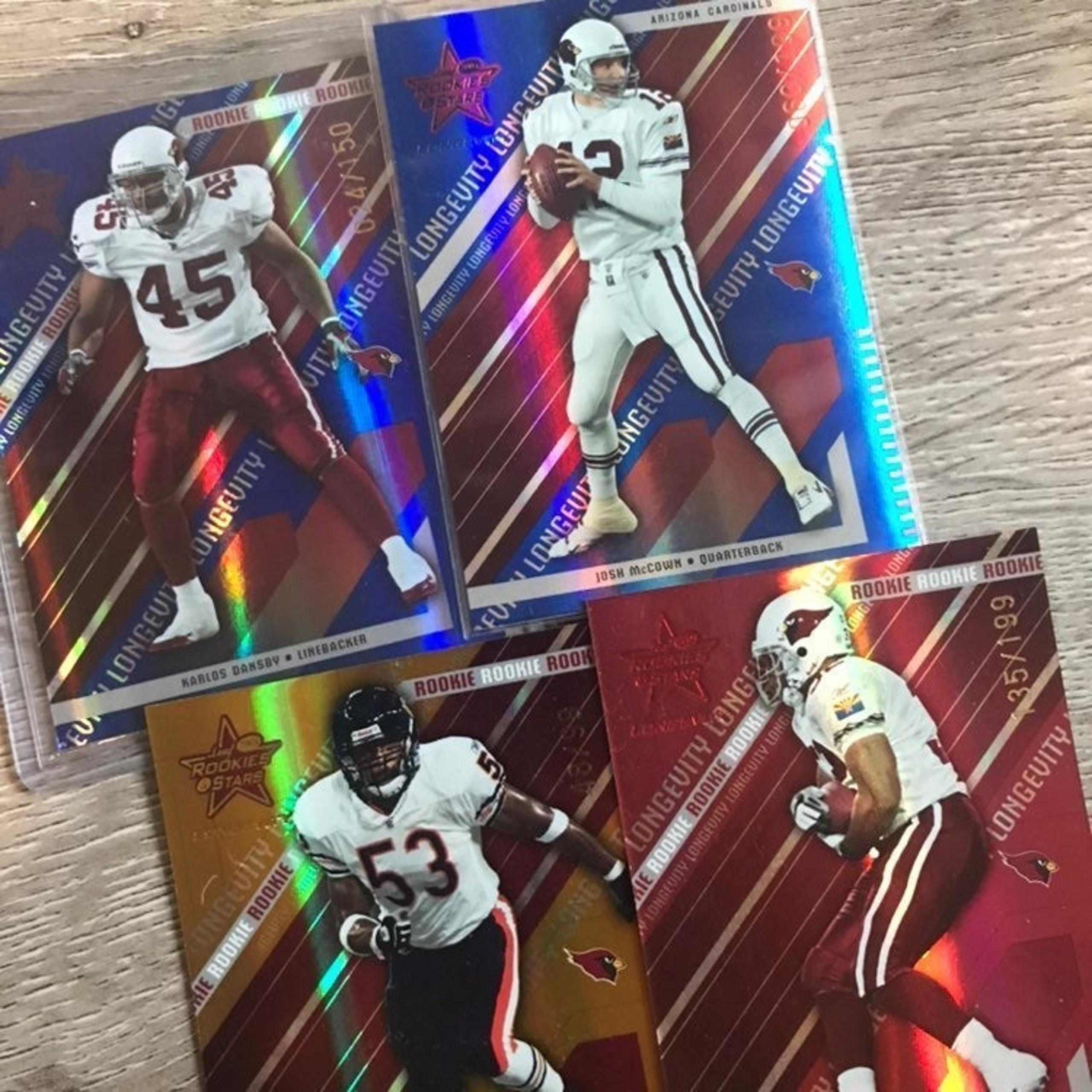 Arizona Cardinals Lot