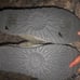 Ugg “Cozy” Shearling Slippers