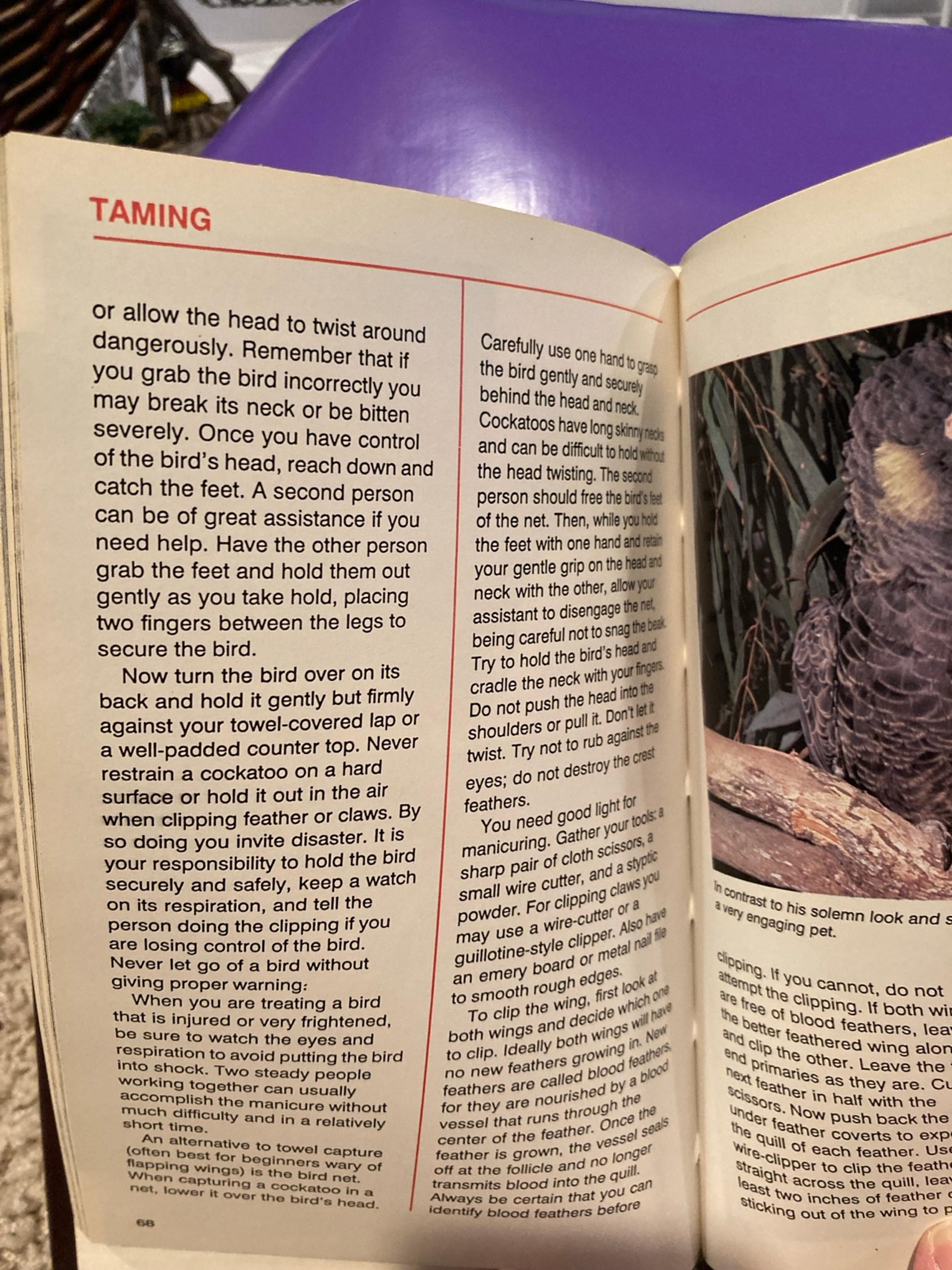 Cockatoos taming and training book