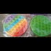 24 pcs Push Pop Bubble