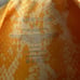 Carbon 38 Yellow Snake Skin Print Leggings and top size S