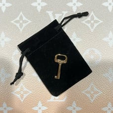 Authentic Louis Vuitton S-Lock Key