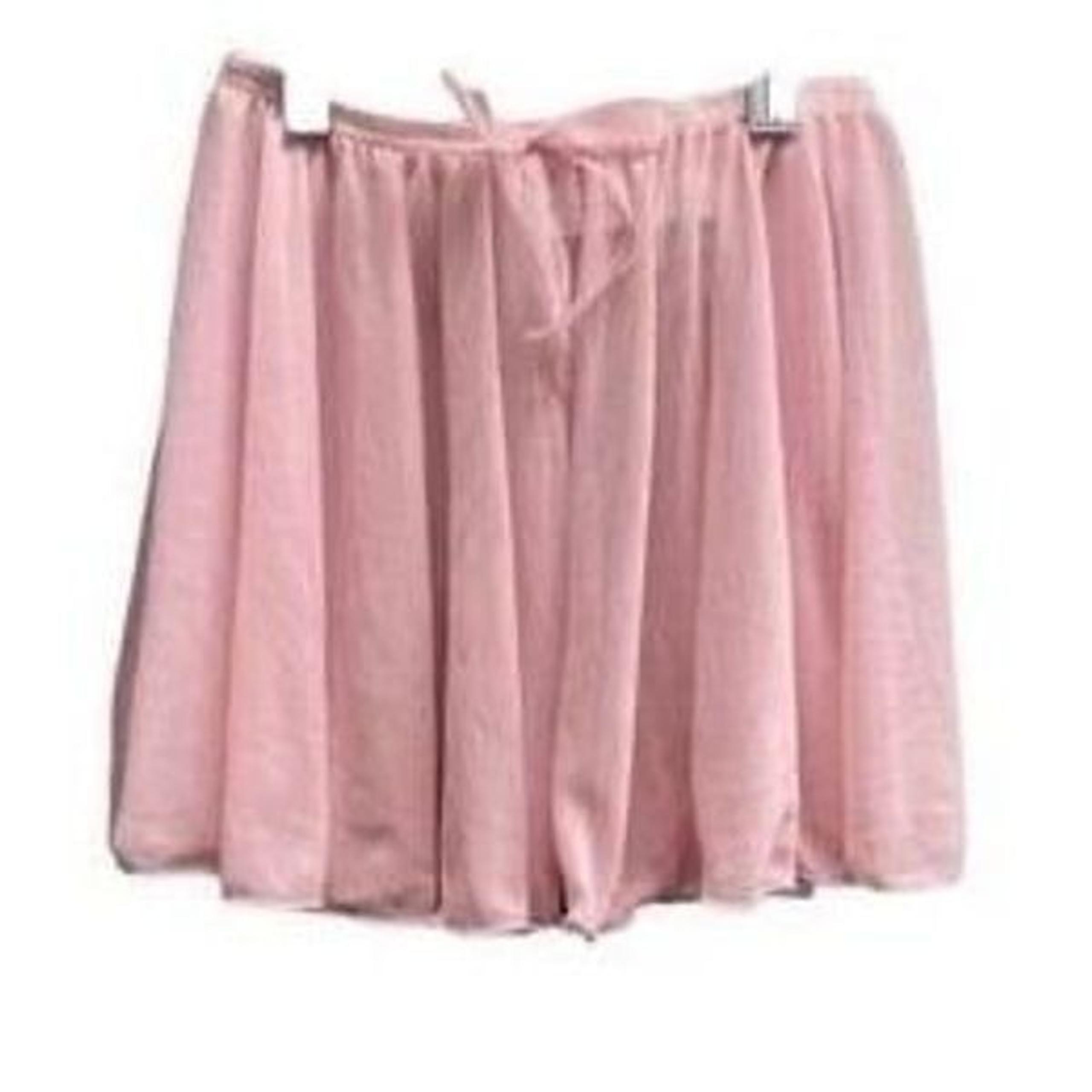 Capezio pink sheer ballet skirt/ Tutu/ size large