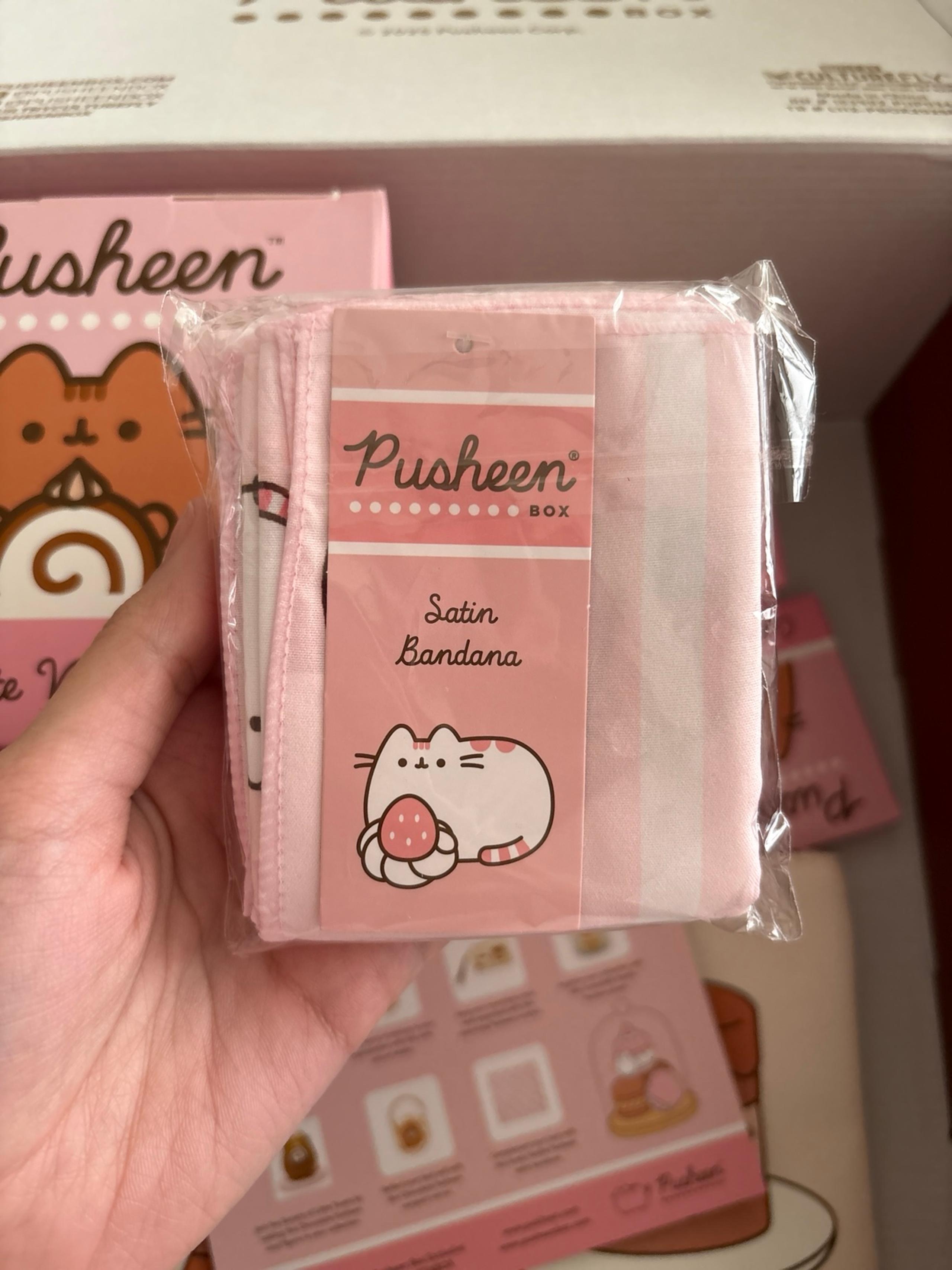 Satin Pusheen Sweets Bandana