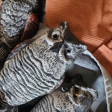 3 Pack Bird Scarecrow Fake Horned Owl Decoy, Plastic Owl Bird Deterrents