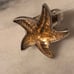 Charles Albert Indescent Recycled Glass Starfish Sterling Silver Ring