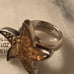 Charles Albert Indescent Recycled Glass Starfish Sterling Silver Ring