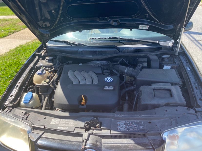Jetta