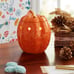 Pioneer Woman Scented Wax Warmer Orange Pumpkin Fall Thanksgiving Halloween*New