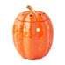 Pioneer Woman Scented Wax Warmer Orange Pumpkin Fall Thanksgiving Halloween*New