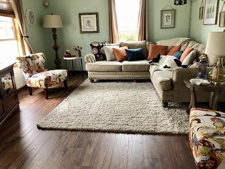 Solid Shag Collection Area Rug