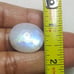 Rainbow Moonstone Oval Shape Cabochon-WRL-7-05