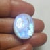 Rainbow Moonstone Oval Shape Cabochon-WRL-7-05