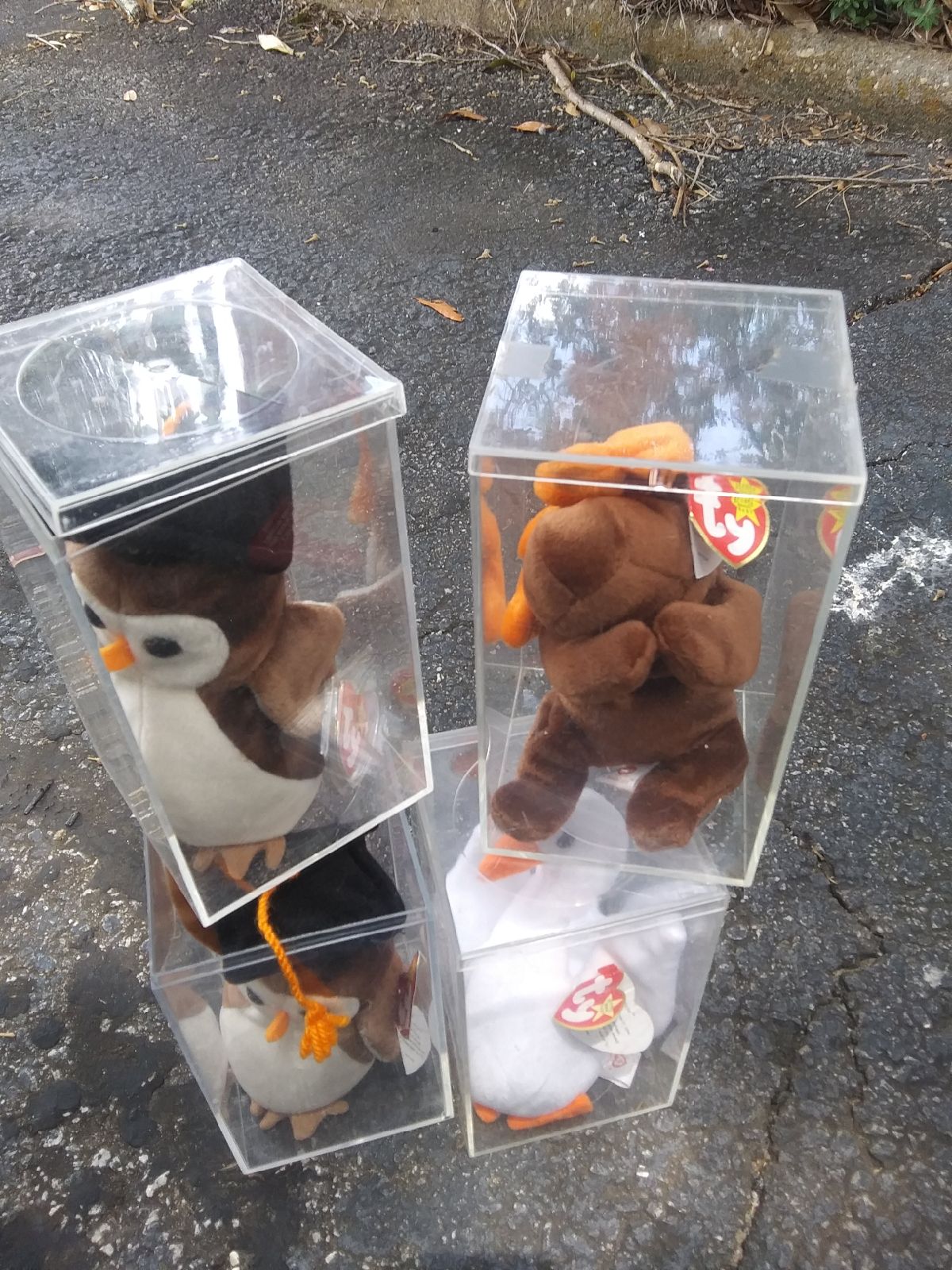 Ty Beanie Babies