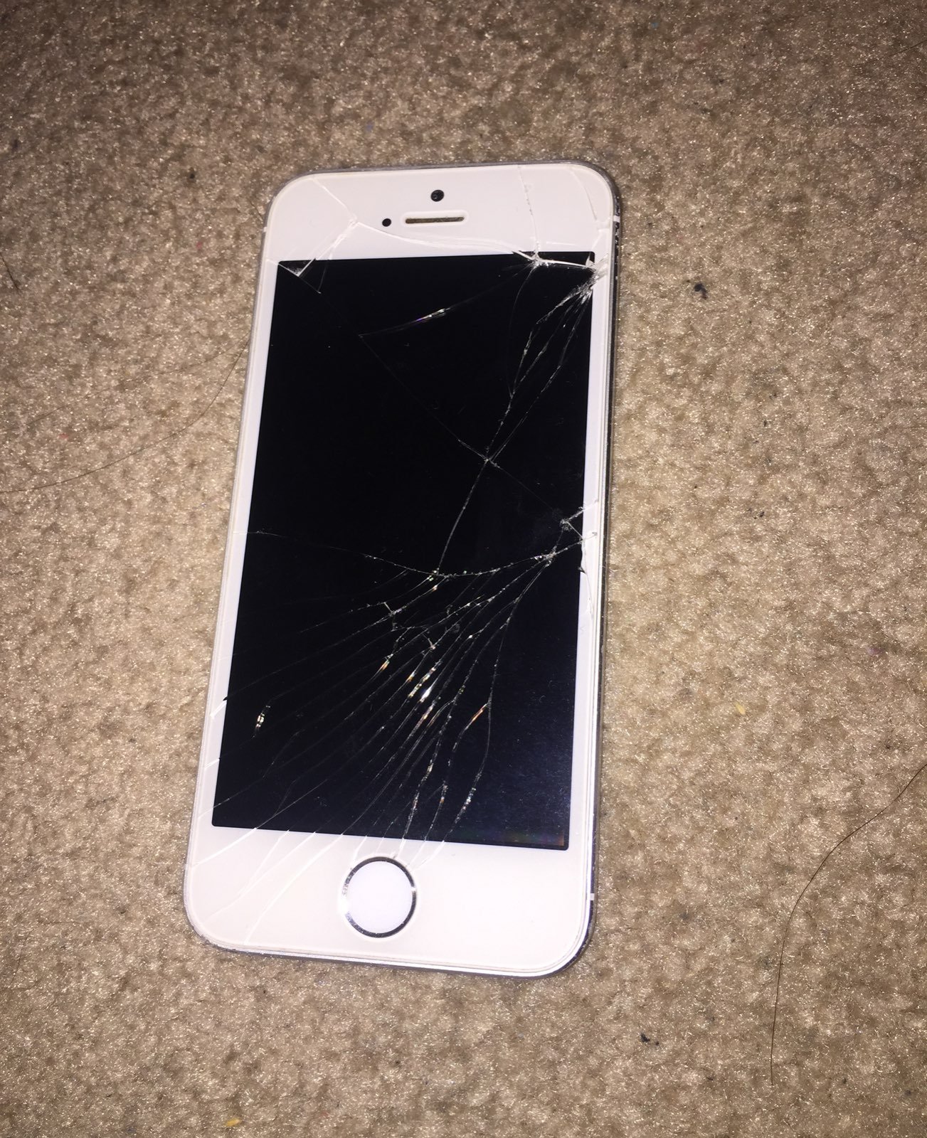 iPhone 5 White & Silver 16 GB