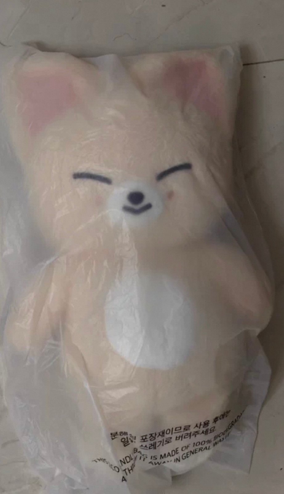 I.N. FoxyIn TeddyBear Skzoo Straykids Fanmeeting Merch Sealed with Passport