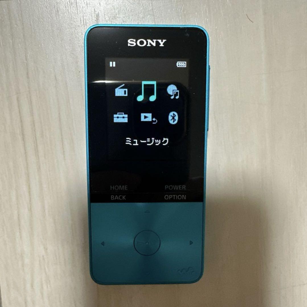 SONY NW-S315 Digital Audio Player 16GB