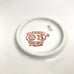 Floral Design Polish Pottery hand crafted and painted scalloped edged pie plate