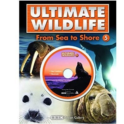 Ultimate Wildlife - From Sea to Shore