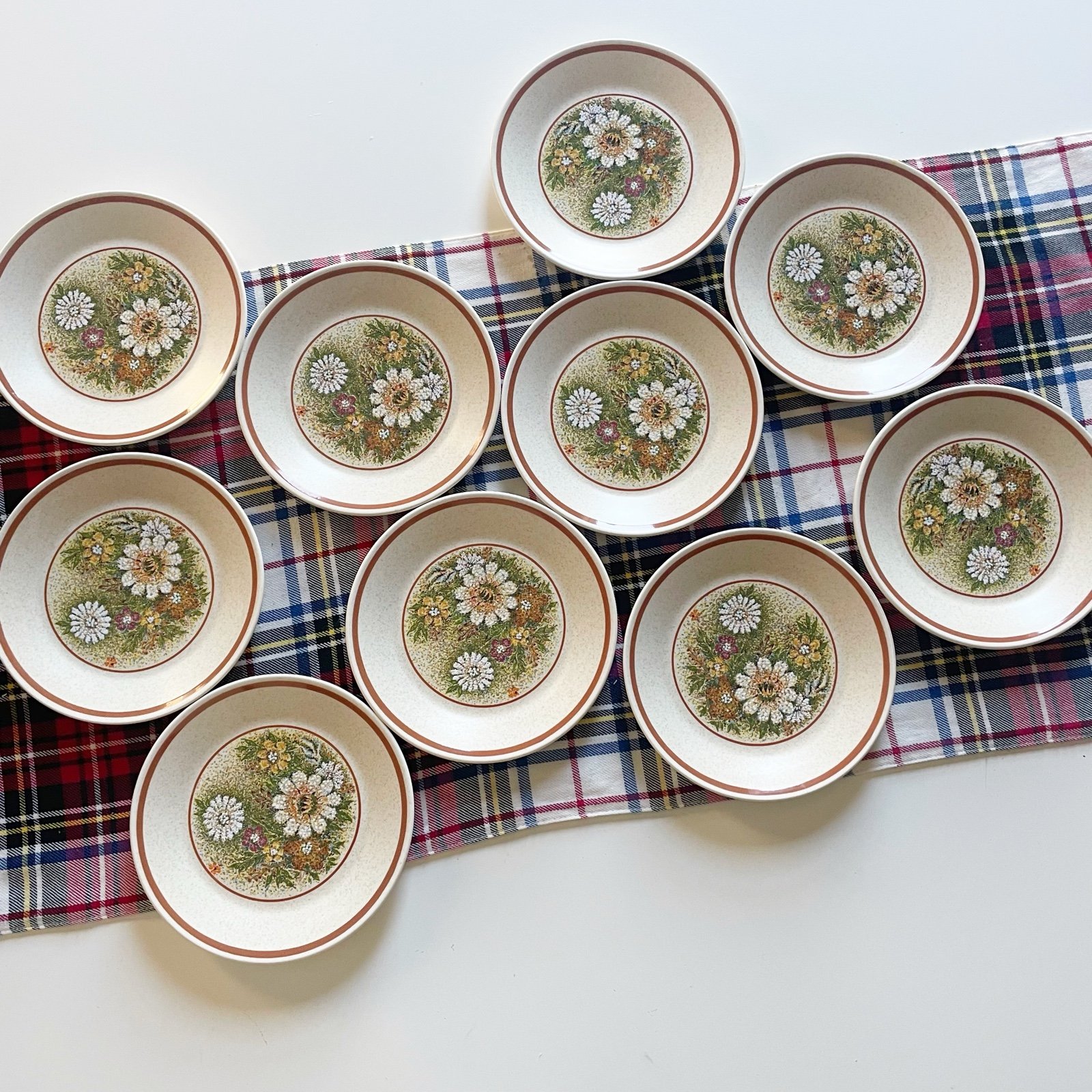 Set of 10 Vintage Temper-Ware by Lenox Magic Garden Salad / Dessert Plates