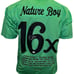 Ric Flair Signed Custom Green Stats Jersey JSA