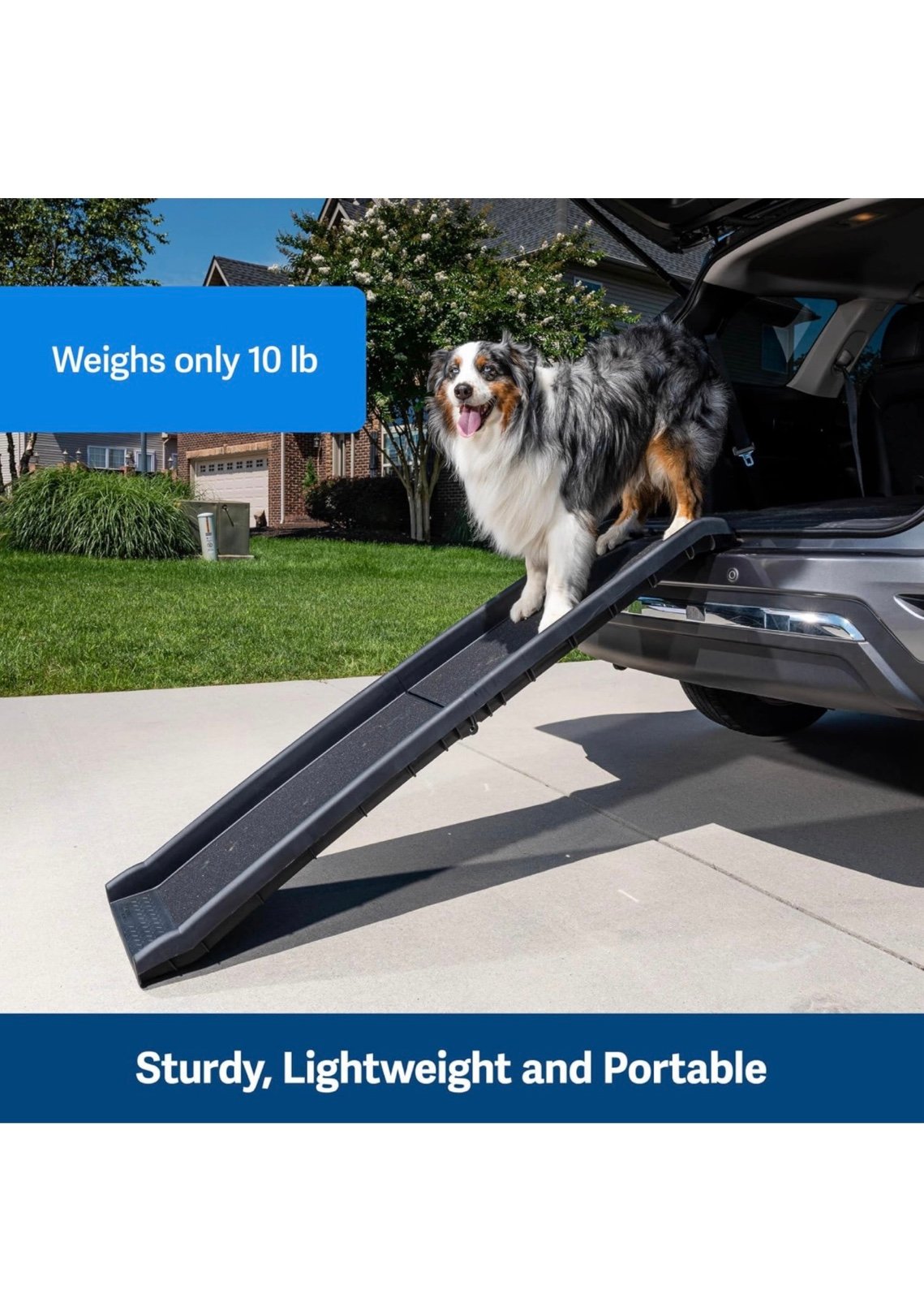 Folding dog ramp