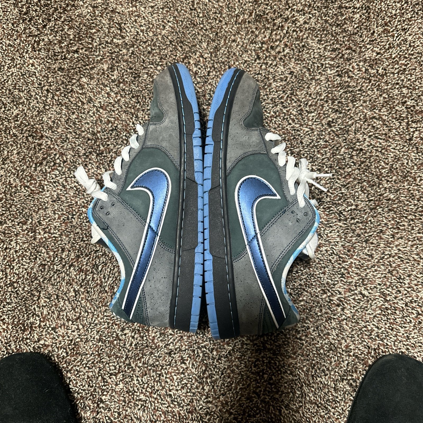 Nike sb dunk low